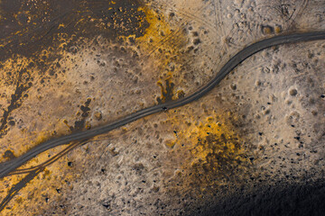 Road across big yellow moss field in area of the Kamchatka volcano  Tolbachik, drone view