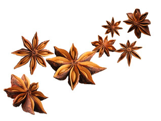 Dry aromatic anise stars falling on white background