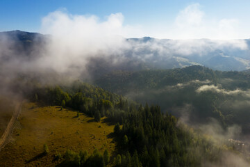 Beautiful landscape with thick mist and forest in mountains. Drone photography