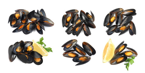 Set with tasty cooked mussels on white background, top view. Banner design © New Africa