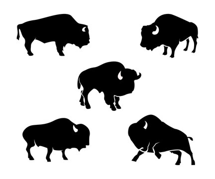 silhouettes of animals, silhouette of bison, bisons logo
