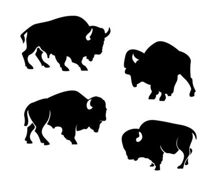 set of silhouettes of bison, silhouette of bison