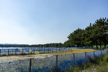 神奈川県横浜市金沢区の海の公園