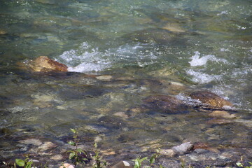 small river in the forest