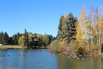 lake in autumn