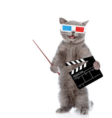 Happy kitten holds clapper board for making video cinema and points away on empty space. Movie production clapper board or slate film concept. isolated on white background