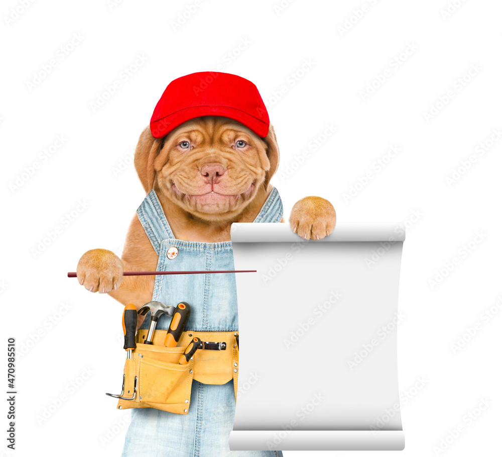 Aufkleber Smiling puppy wearing red cap and overalls with tool belt points on empty list. Isolated on white background