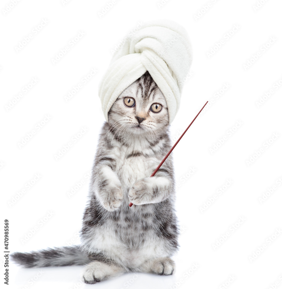 Poster Funny kitten with towel on it head points away on empty space. isolated on white background
