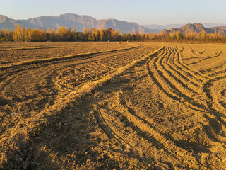 Preparing fields for sowing wheat