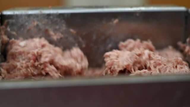 making sausages at home according to family recipes. salami product, meat industry, machine. mincing meat, making minced meat.