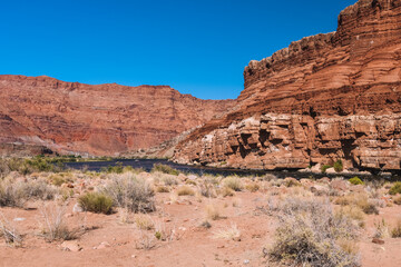 Fototapeta premium Lee's Ferry on the Colorado River outside of Page, Arizona