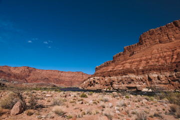 Fototapeta premium Lee's Ferry on the Colorado River outside of Page, Arizona