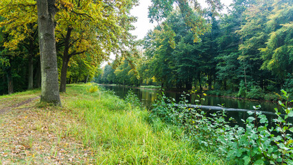 malerischer Waldweg entlang der Elde in Mecklenburg