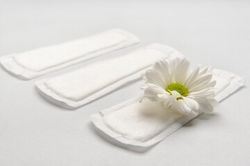 Menstrual pads and chamomile flower on light background