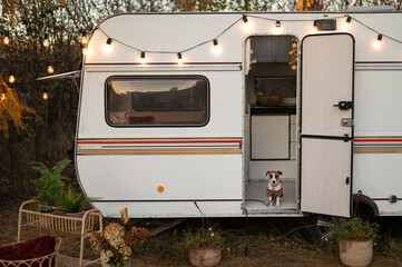 Cute jack russell terrier dog wearing a knitted sweater in a motorhome. Travel by van in the fall.
