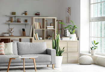 Stylish bookshelf with comfy sofa in living room