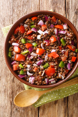 Green lentil salad with tomatoes, onions and chili peppers close-up in a plate on the table. vertical top view from above