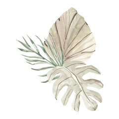 Watercolor tropical leaves bouquet, dry palm leaves composition 