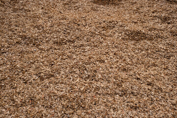 Wooden chips background. Decorative wood splinters texture. Natural material.