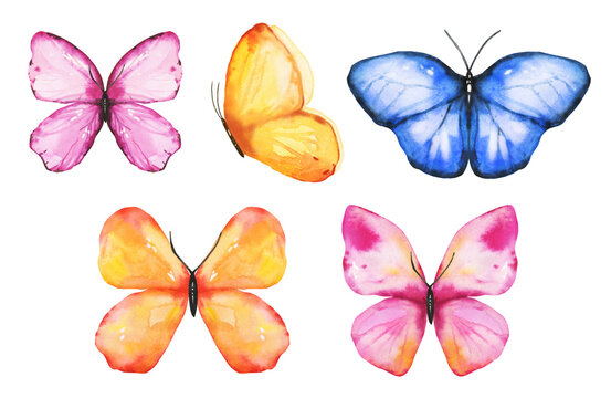 Watercolor tropical hand drawn insect Butterly collection isolated on white background in bright summer palette
