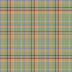 Plaid seamless pattern. Vector background of textile ornament. Christmas fabric design.
