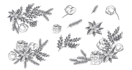 Poinsettia, cotton, spruce branches, holly, gift box. Vector hand drawn Christmas, New Year illustration. Sketch. 