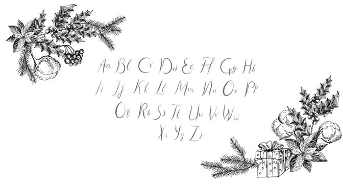 Poinsettia, cotton, spruce branches, holly, gift box. Vector hand drawn Christmas, New Year illustration. Sketch. 