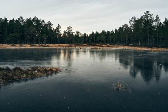 Image from the Tretjønna Lakes up in the Totenåsen Hills in early winter with ice.