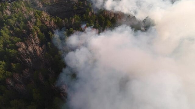 Top view of the field with a line of fire. Epic footage, puffs of smoke, spread of fire. Deforestation, burning dry grass. Climate change and ecology. Uncontrolled rural fire in the Irkutsk region. 