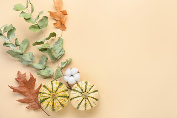 Autumn composition with cotton flower and pumpkins on beige background