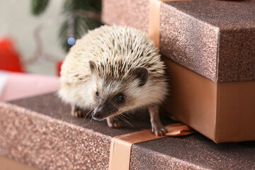 Cute hedgehog with Christmas gift boxes at home © Pixel-Shot