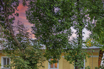 Fragment of the facade of a two-storey house behind tall trees on an autumn evening