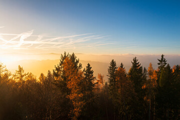Autumn czech landscape with misty fog and trees silhouette at morning sunrise and blue sky. View from watchtower in village Hradiste