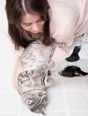 young woman playing with her tabby cat and jack russell terrier dog lying on a bed. stroking pet gently, friendship and love.