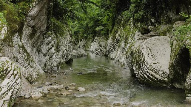 Caucasus. Khosta river. Flight through the Devil's gate canyon. The area of yew-boxwood grove.