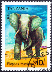 TANZANIA - CIRCA 1991: A stamp printed in Tanzania shows an elephant, circa 1991.