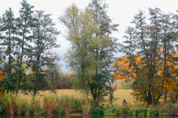 people are riding the bike on a rural road at sunset along Danubre river in Regensburg,Germany, europe.