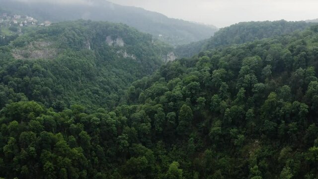Caucasus. Khosta river. Flight through the Devil's gate canyon. The area of yew-boxwood grove.