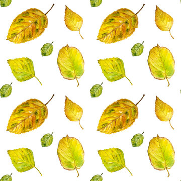 Watercolor autumn leaves. Seamless pattern. Can be used for wallpaper, fill web page background, surface textures