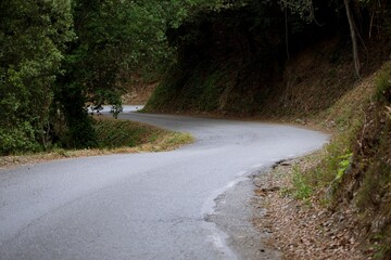 Narrow road in the middle of the mountain surrounded by trees that crosses a forest