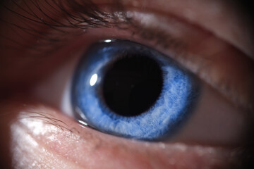 Closeup of beautiful bright blue human eye