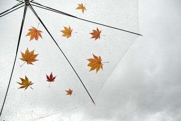 Colorful fallen leaves on an umbrella.