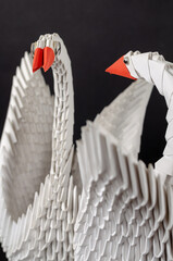 Modular origami or unit origami.