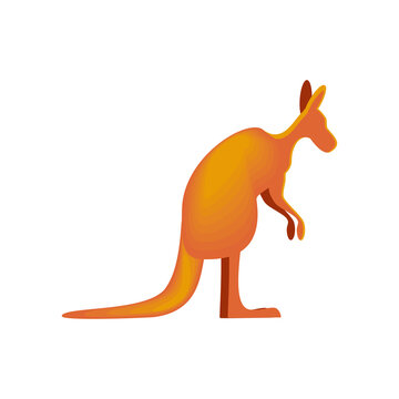 kangaroo animal icon