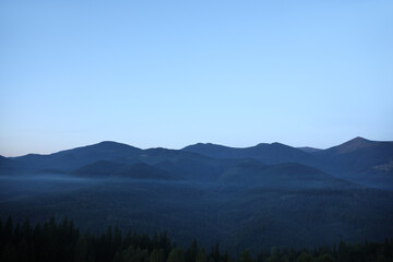 Obraz premium Amazing view of beautiful foggy mountains in early morning