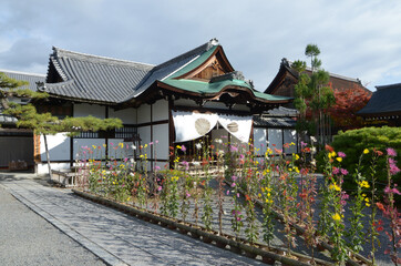 秋の大覚寺　式台玄関と嵯峨菊　京都市右京区嵯峨