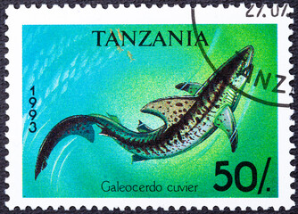 TANZANIA - CIRCA 1993: Stamp printed by Tanzania shows Shark underwater, circa 1993