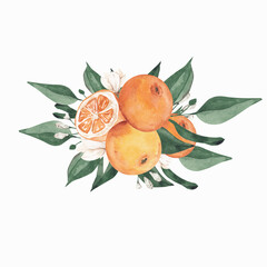 Watercolor citrus bouquet with orange blossom and green leaves on white background