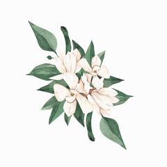 Watercolor composition of white magnolia and greenery om white background