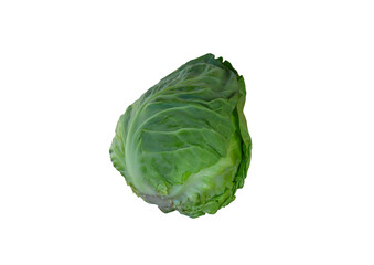 White, young cabbage